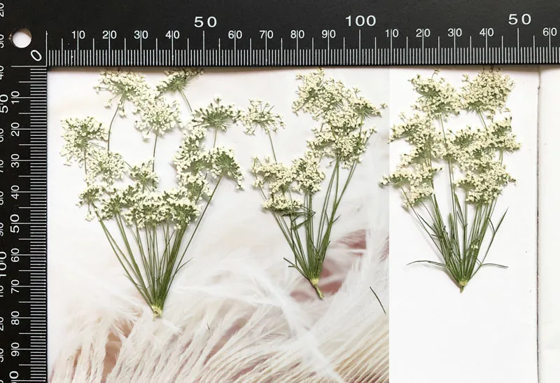 5-7 cm/12 stks, Sneeuw Kleine  - Craft Embellishments recensie en prijs